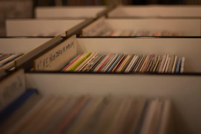 skivaffär, vinylskivor, musik, music store, album, ladda, vinyl, retro. Så följer du upp svinn och inventeringsavvikelser