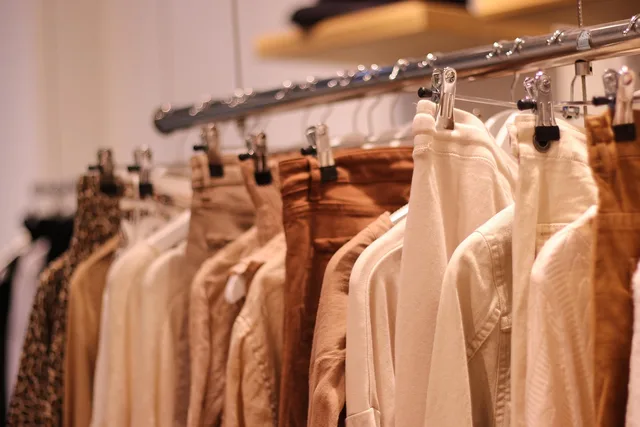 clothing, fashion, hangers, store, shopping, female, brown fashion, brown shopping, brown clothes, brown shop, clothing, clothing, clothing, clothing, clothing, hangers, hangers, shopping, brown clothes. Vad kostar löneökningen för personal i butik?